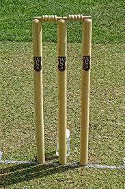 Stump Camera cricket technology