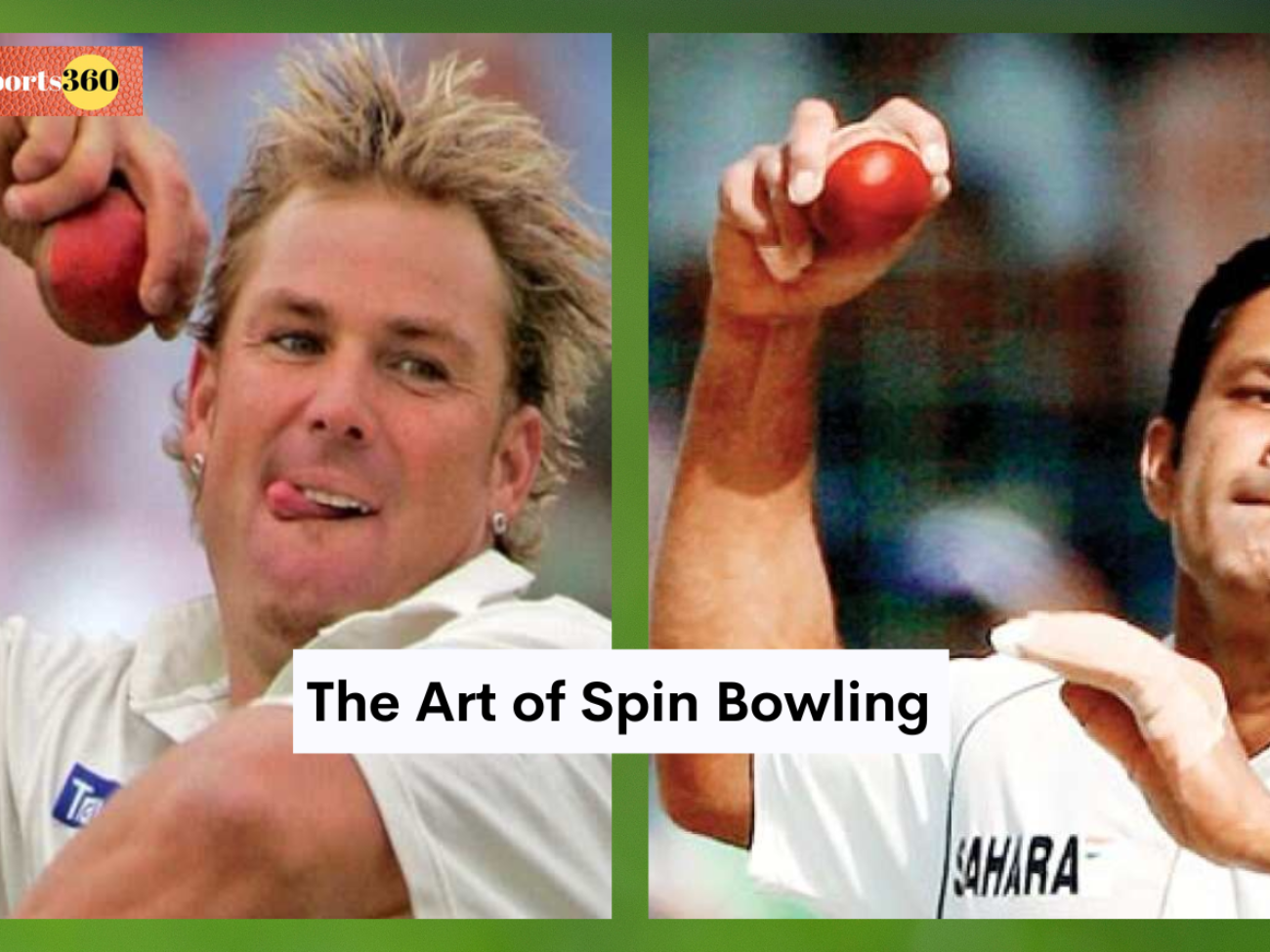 The Art of Spin Bowling in cricket