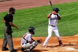 Cricket vs Baseball 2