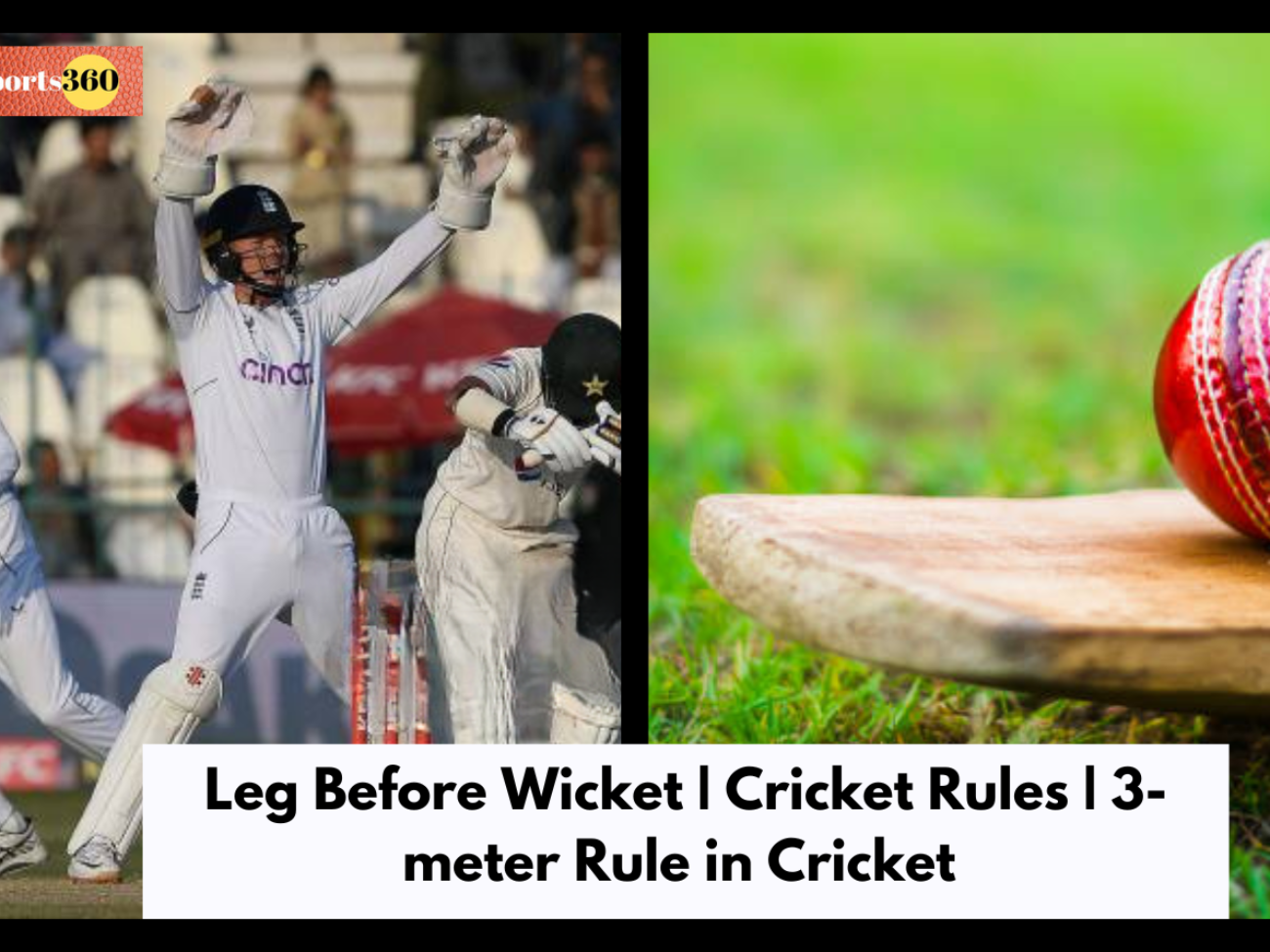 Leg Before Wicket | Cricket Rules | 3-meter Rule in Cricket